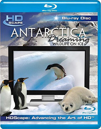 Blu-ray Antarctica Dreaming: Wildfire on Ice (afbeelding kan afwijken van de daadwerkelijke Blu-ray hoes)