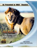 Africa: The Serengeti