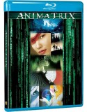 The Animatrix