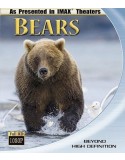 Blu-ray Bears