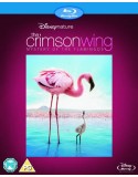 Crimson Wing: Mystery of the Flamingos