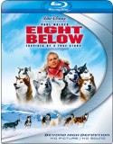 Blu-ray Eight Below