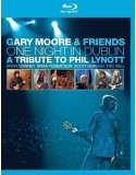 Gary Moore and Friends: One Night In Dublin