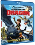 How To Train Your Dragon