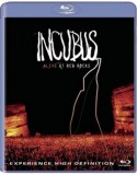 Blu-ray Incubus: Alive At Red Rocks