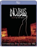 Incubus: Alive At Red Rocks