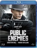 Public Enemies