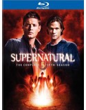 Supernatural: The Complete Fifth Season