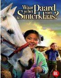 Waar Is Het Paard Van Sinterklaas?