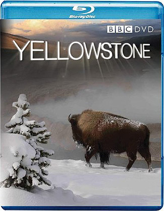 Blu-ray Yellowstone (afbeelding kan afwijken van de daadwerkelijke Blu-ray hoes)